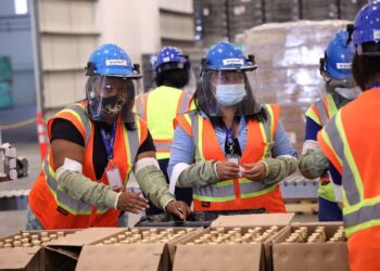 Desafíos y Oportunidades en el Mercado Laboral Dominicano